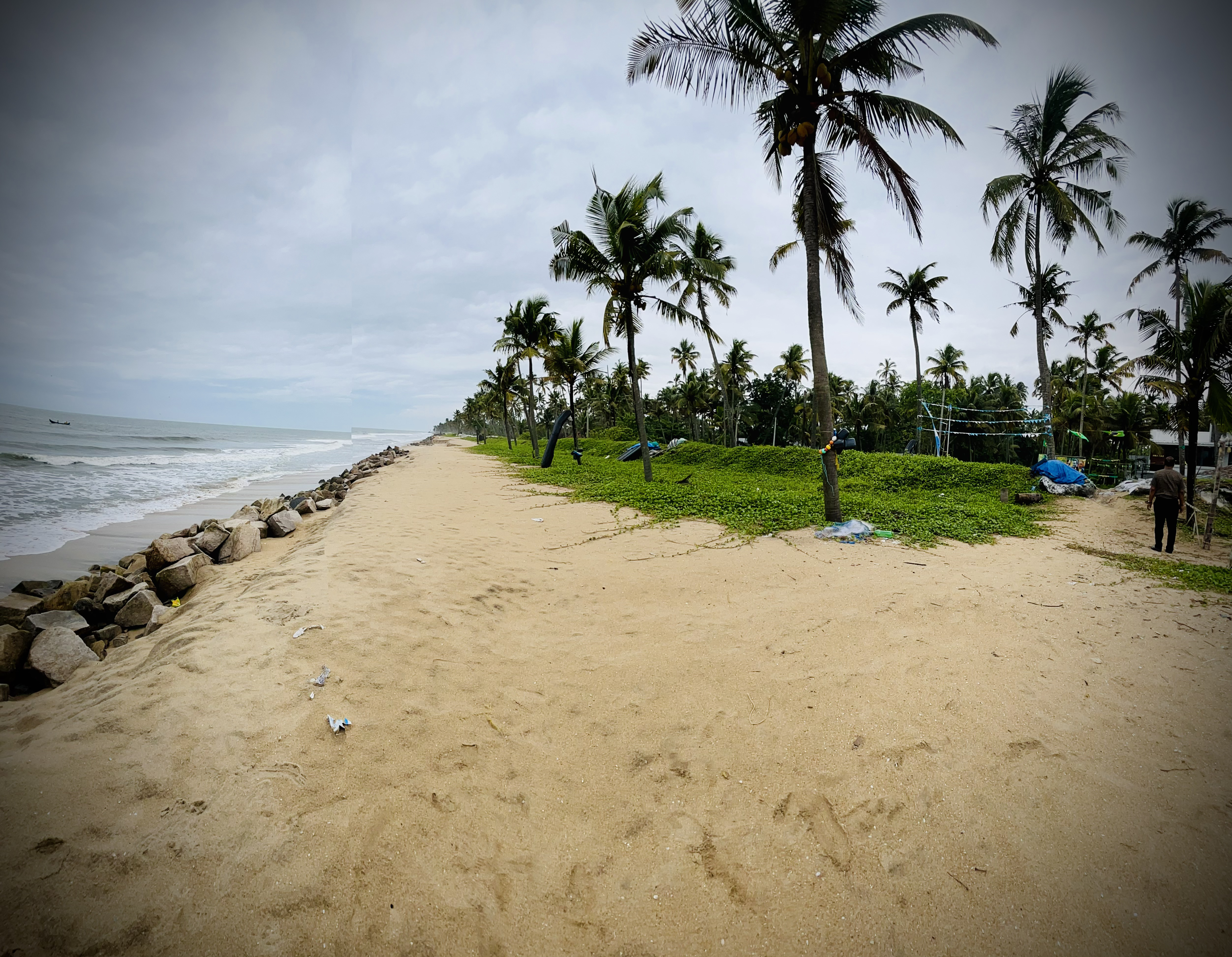 Beachfront Backyard View